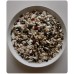 Veľký africký papagáj - 1kg